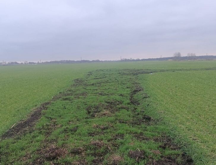    Фото: Россельхознадзор