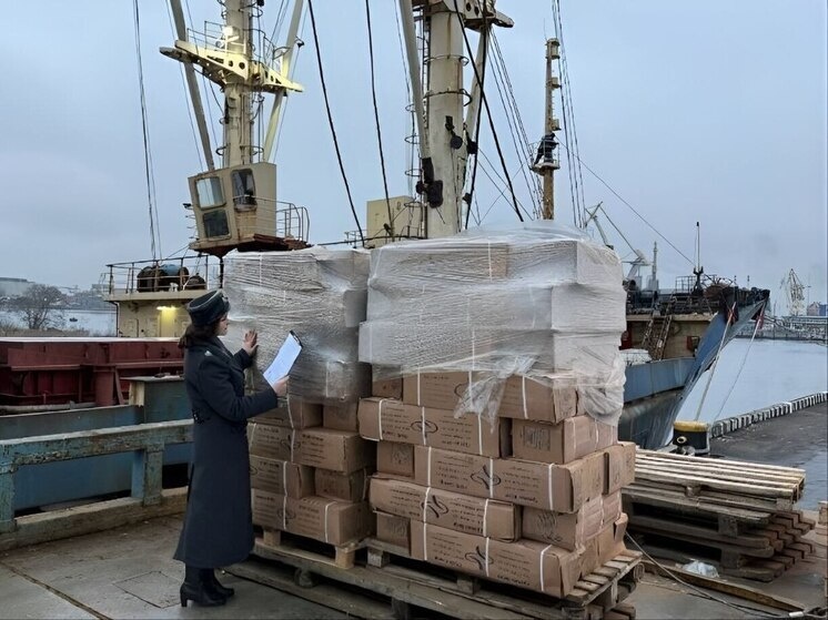     Партии скумбрии и сельди произвели в Мурманской области. Фото: пресс-служба Северо-Западного межрегионального управления Федеральной службы по ветеринарному и фитосанитарному надзору