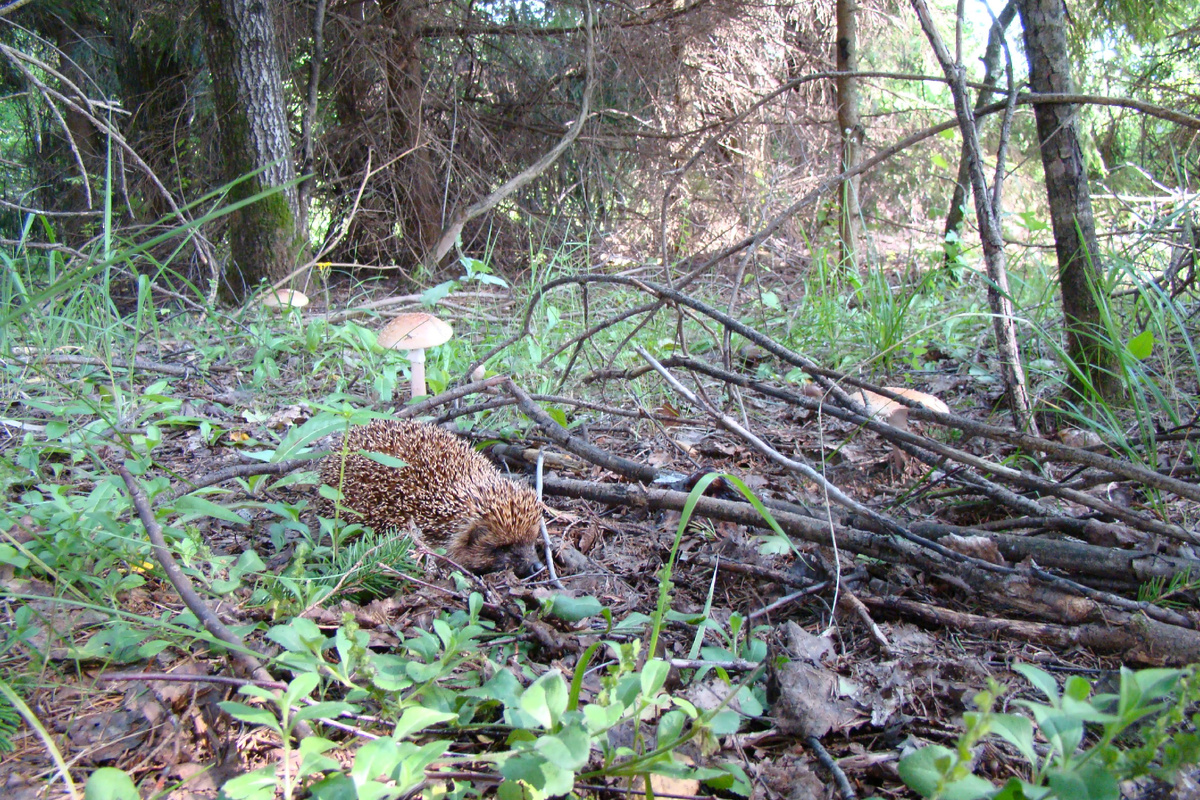 Фото Лидии Бам.