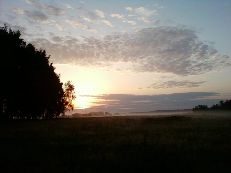 Фото Старого Солдата. Ночью и на рассвете встречи с животными происходят намного чаще, чем днем.