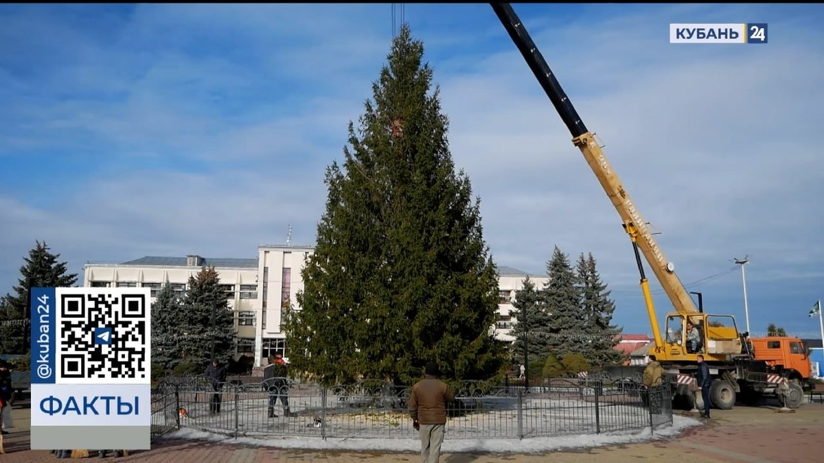    Скриншот видео телеканала «Кубань 24»