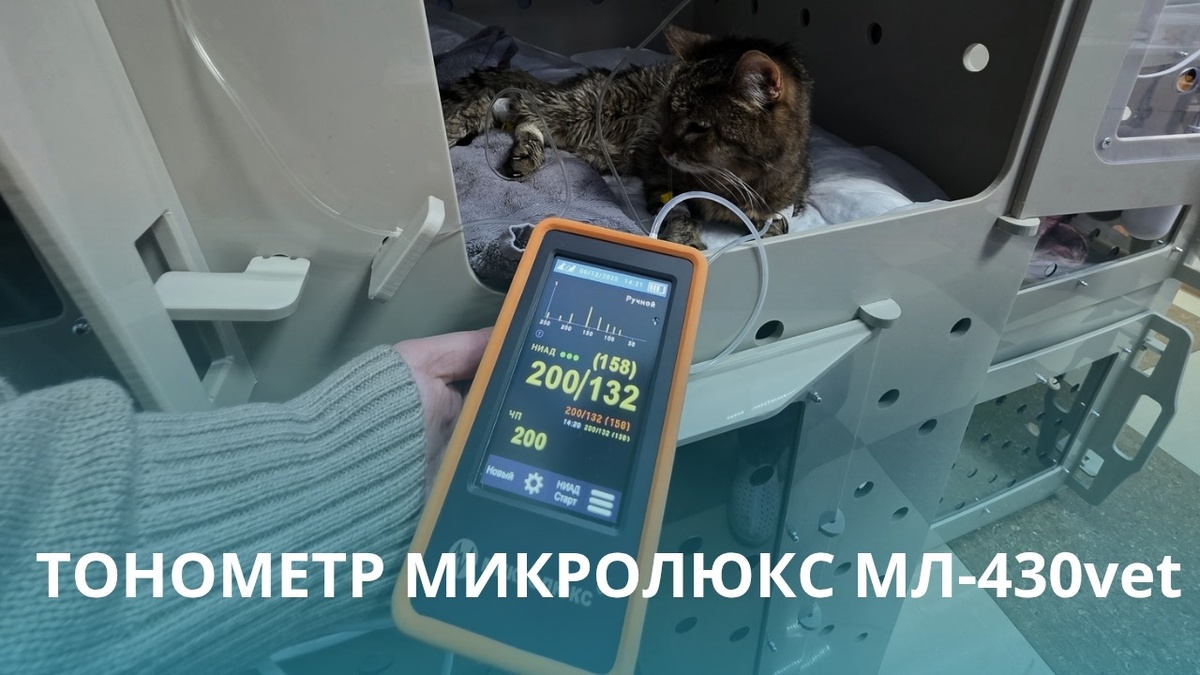 Тонометрия животным в Калуге.