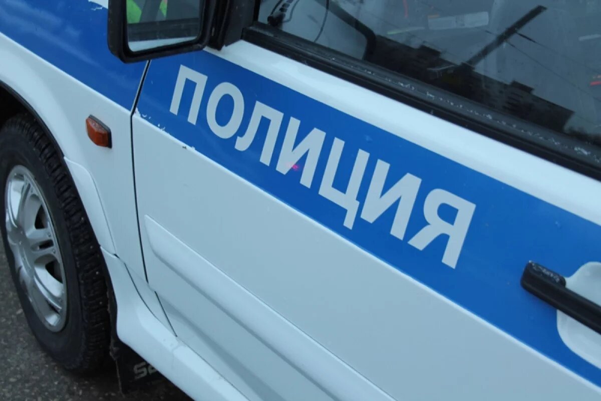    Нижегородская полиция опубликовала статистику по преступлениям за год