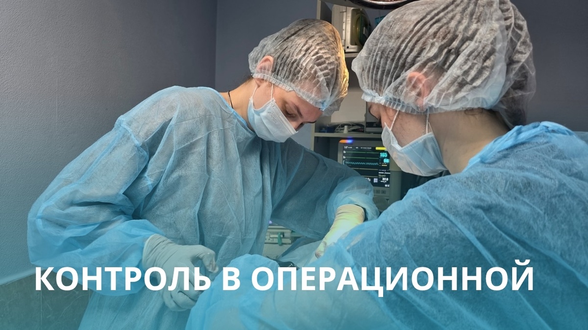 Опеоации животным в Калуге. Ветеринарная клиника Жизнь.