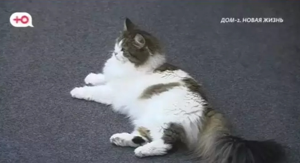 Фото взято в качестве иллюстрации. Источник: "Яндекс картинки"