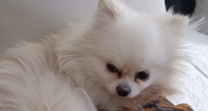    Фото irkutsk.news