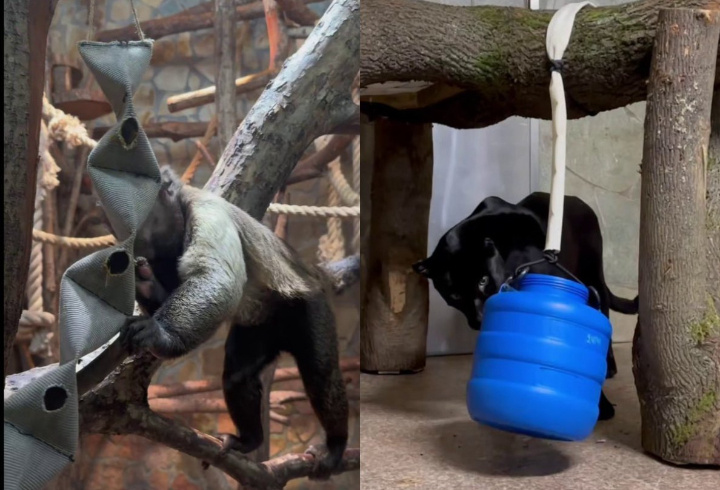 фото: t.me/lenzoopark