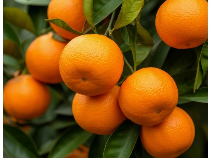 Солнечный защитник