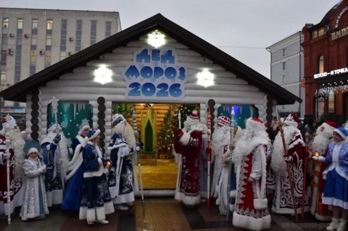    В Пензе шествие сказочных героев завершилось открытием домика Деда Мороза