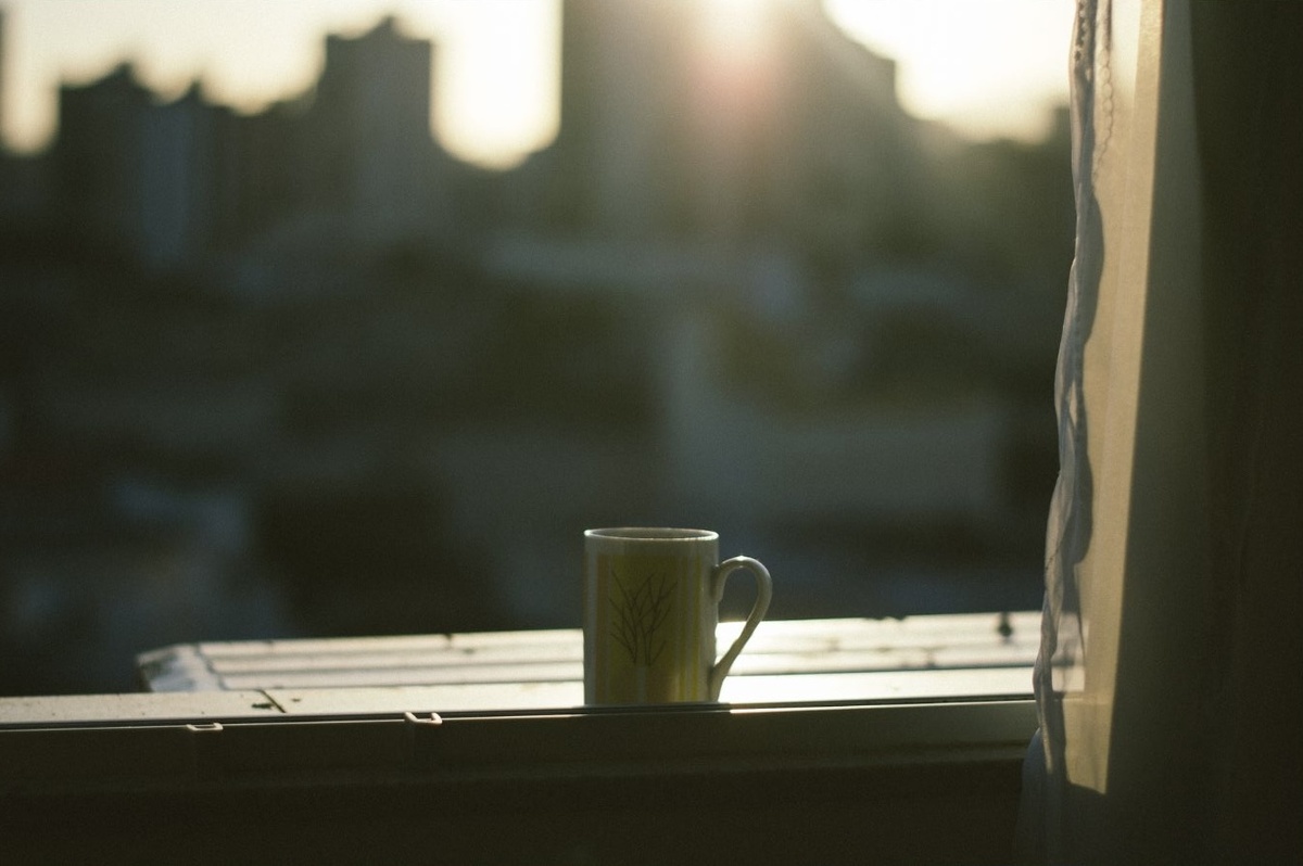 Когда утро светлое, даже мысли становятся теплее