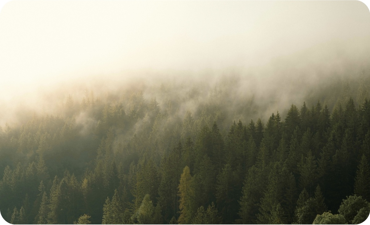Солнечный свет — самый добрый будильник