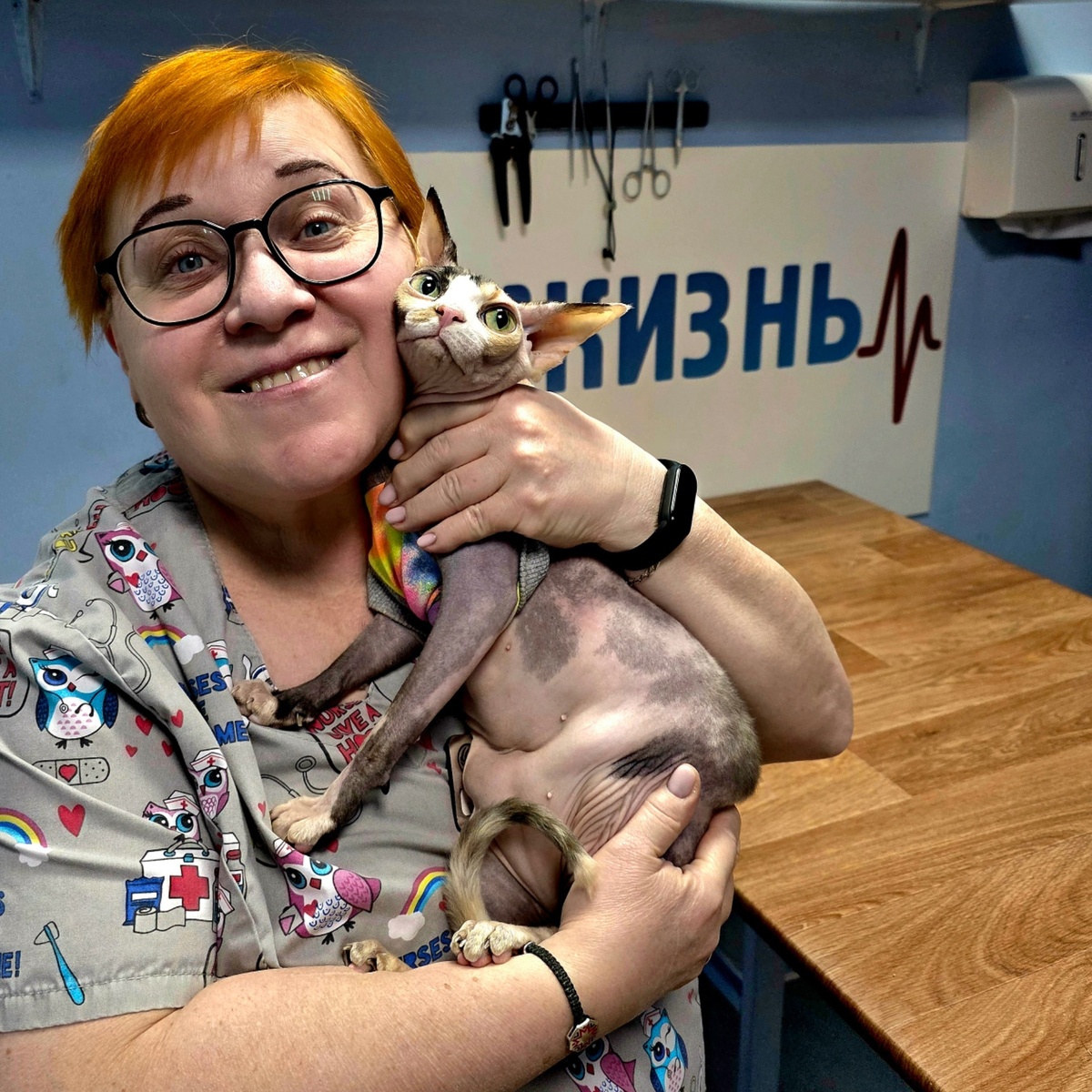 Самира на плановой операции в ветеринарной клинике в Калуге Жизнь.
