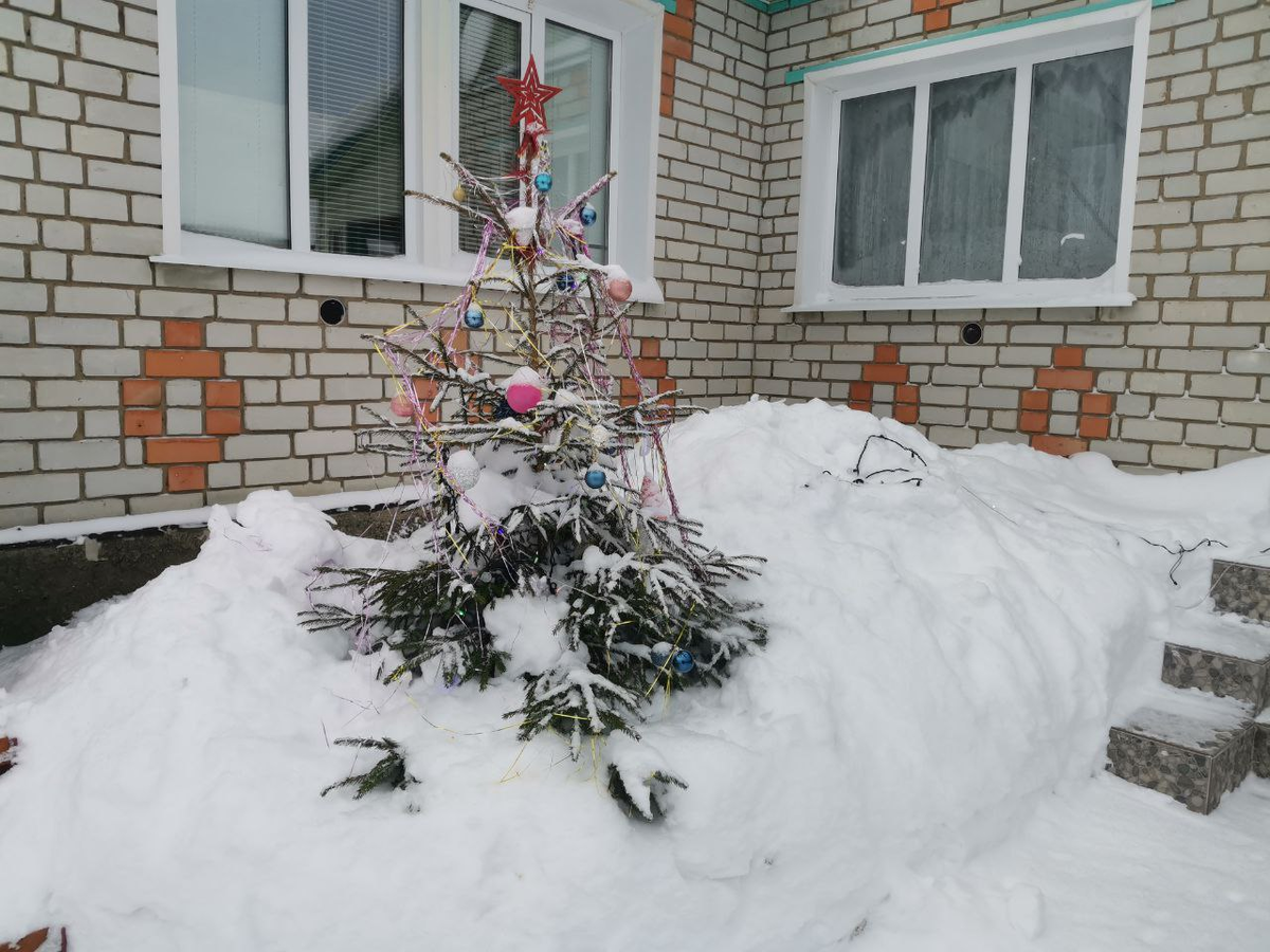 Наша ёлка после ночного снегопада