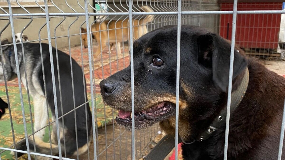     Источник: newstracker.ru