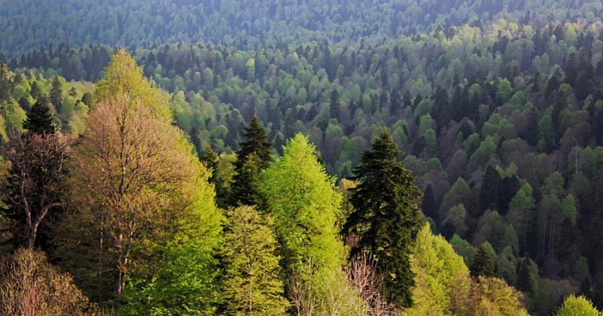 Фото: пресс-служба администрации Краснодарского края