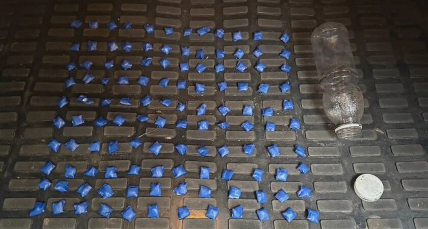    Фото: пресс-служба Управления МВД России по Брянской области