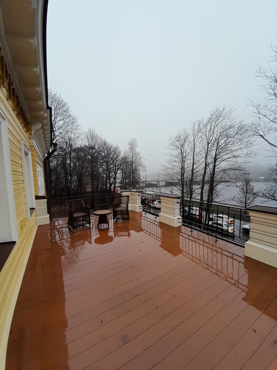 Вид на Каменноостровский мост и Малую Невску с балкона. 2025