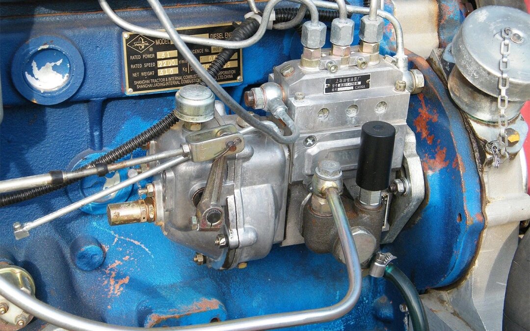 Фото: Andshel / CC BY-SA 4.0 / Wikipedia Commons