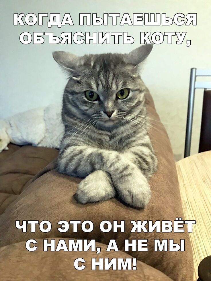 источник Яндекс-картинки