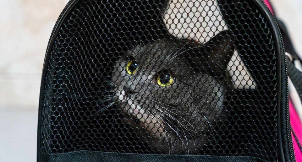    Медиасток.РФ