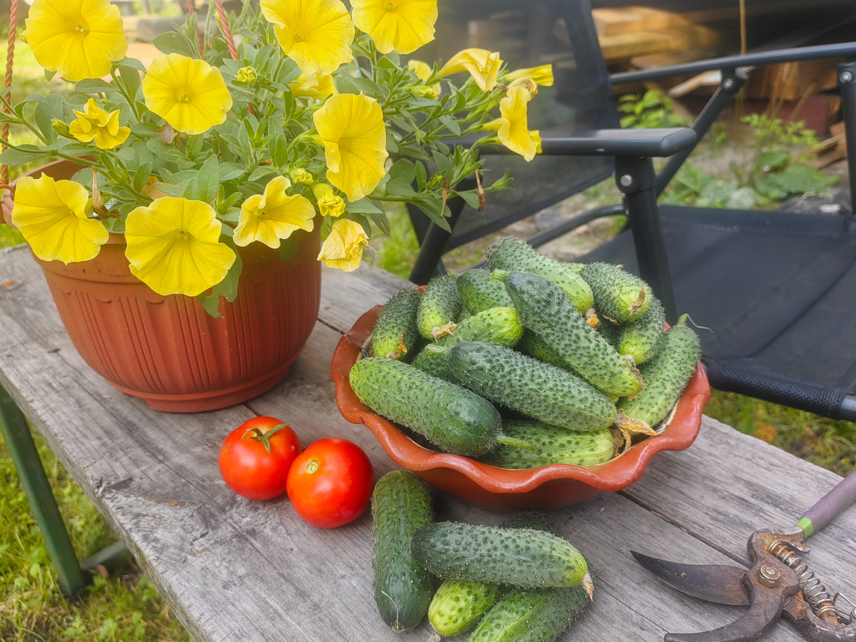 Атос и Форсаж.