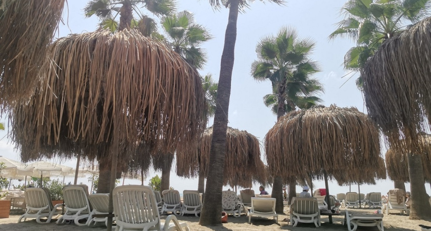    фото из архива редакции