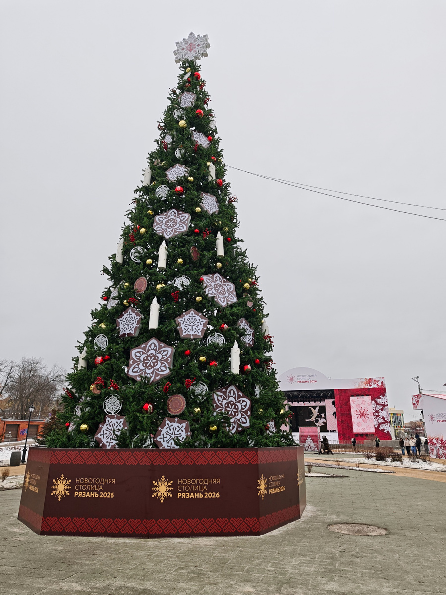 Ёлка у цирка