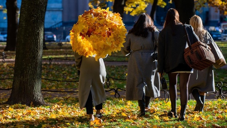 Автор фото: Сергей Ермохин / "ДП". Компания молодых девушек ищет место для пикника в Петебурге.