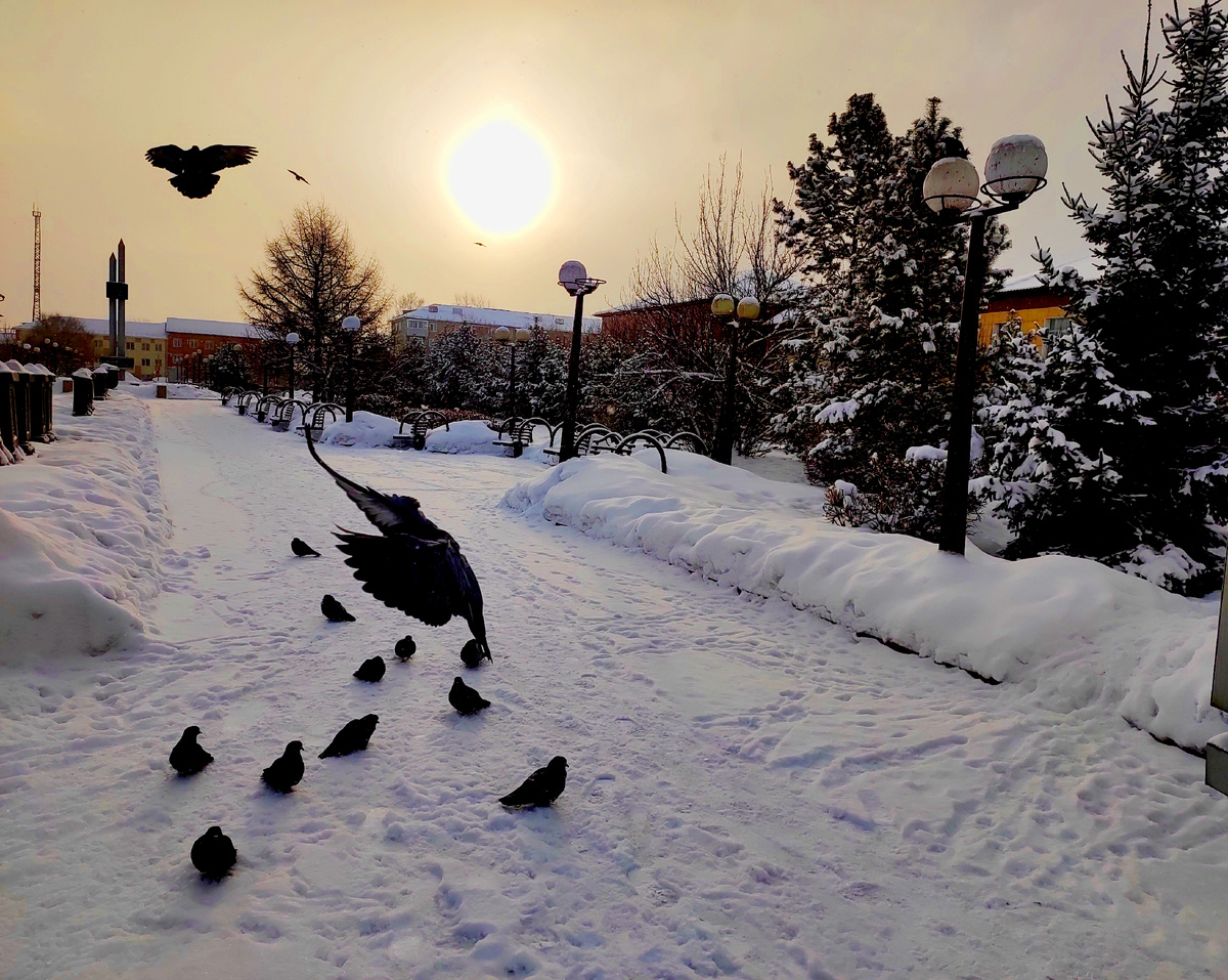 Фото автора 