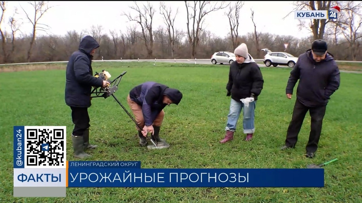    Скриншот видео телеканала «Кубань 24»