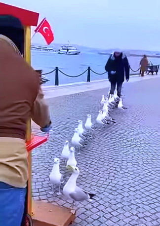 Есть вакансии в Турции, Израиле; удалённая работа в Восточной Европе/Европе/Центральной Азии/etc.