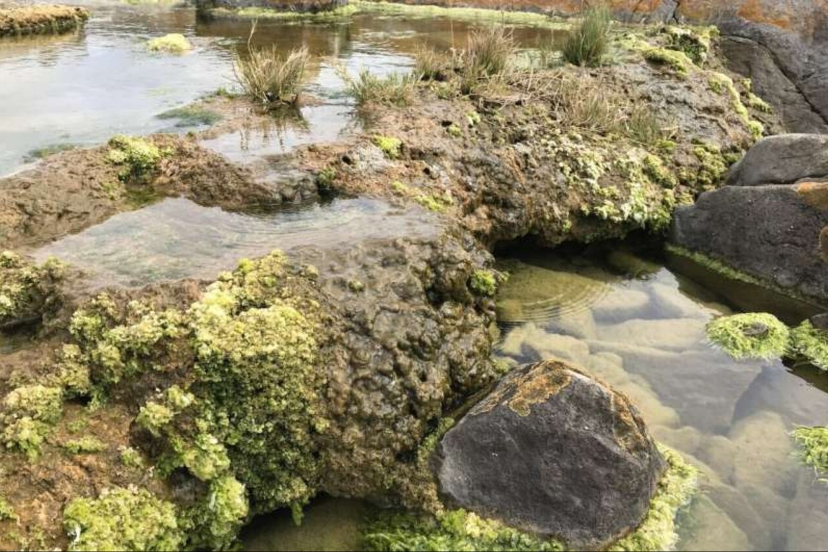    Водоем в Восточно-Капской провинции Южной Африки, в котором живут микробиалиты