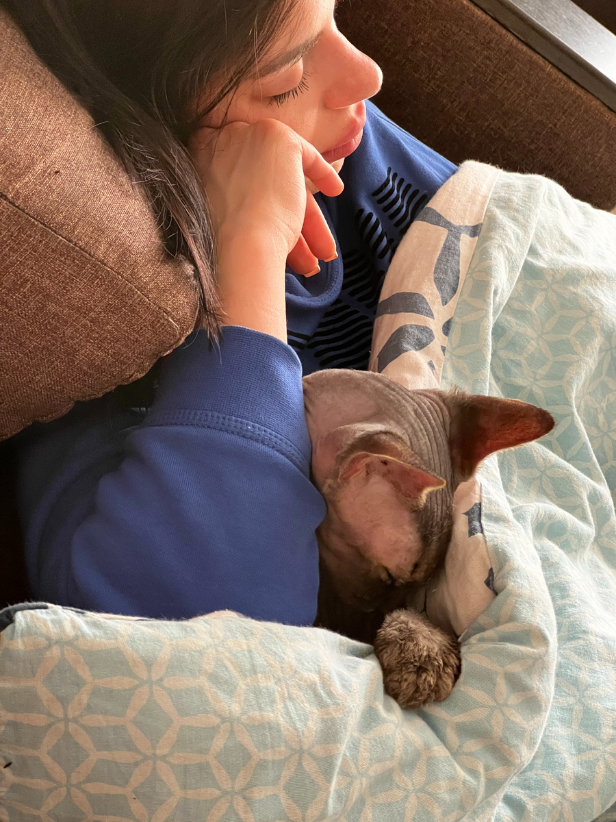 в таких случаях мне помогает уснуть кот