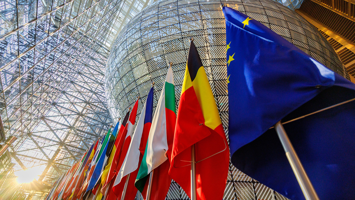   Olivier Matthys / EPA / TASS