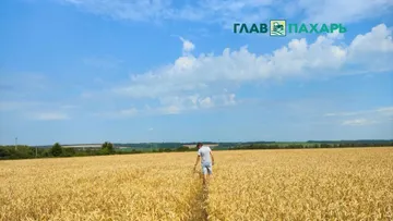 Фото: © Артём Борисов / Glavpahar.ruКадры в АПК (фото иллюстративное)