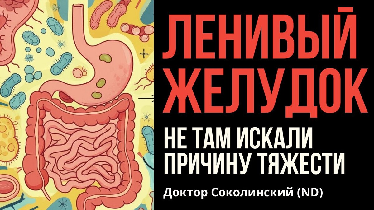 Автор: Владимир Евгеньевич Соколинский (ND), профессор РИИН, потомственный доктор, автор 12 книг о натуральной медицине. Опыт консультаций в России и Европе более 25 лет