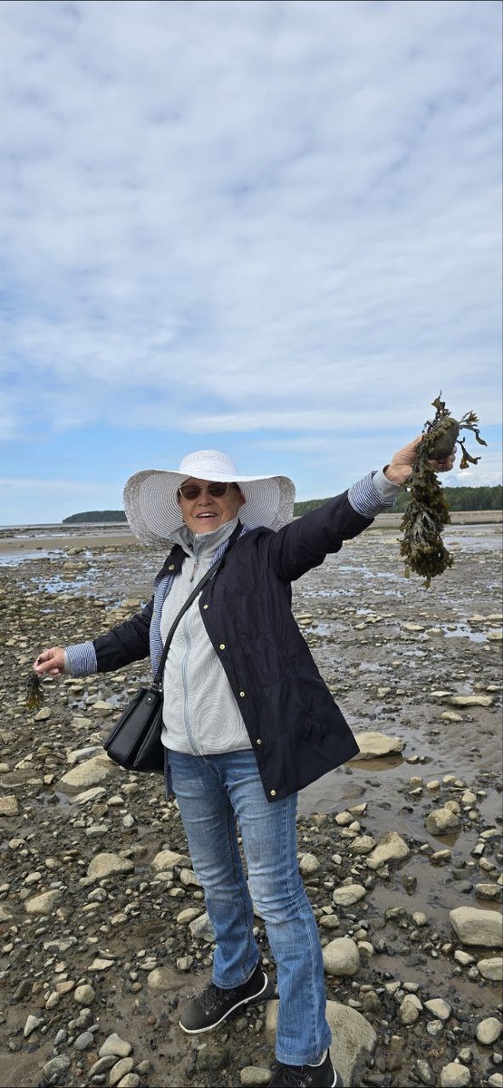 Моя мама и морские водоросли . Белое море. Онега. Июнь 2025 год