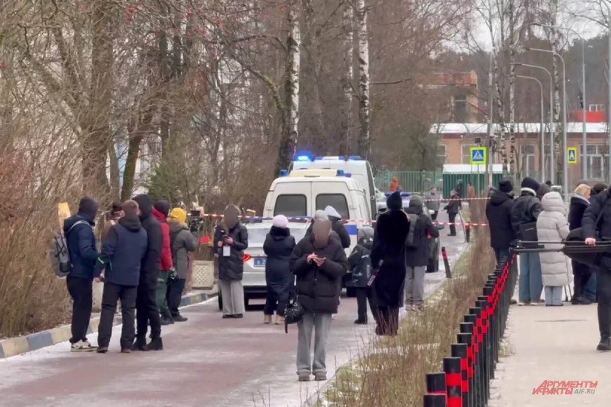    Соседи дали характеристку Тимофею К., устроившему резню в школе.