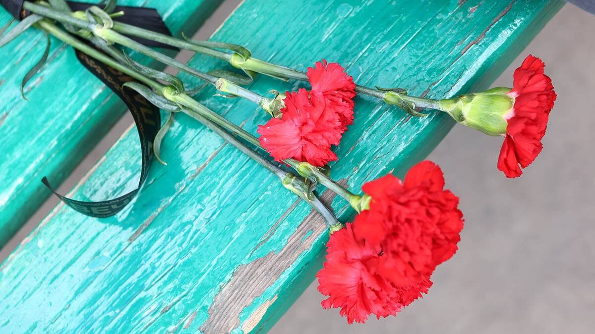    Фото: Ярослав Чингаев / АГН Москва