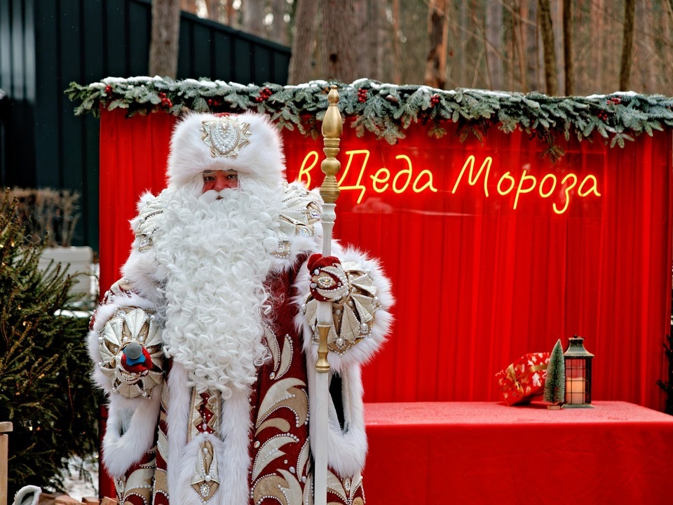    Фото: медиасток.рф