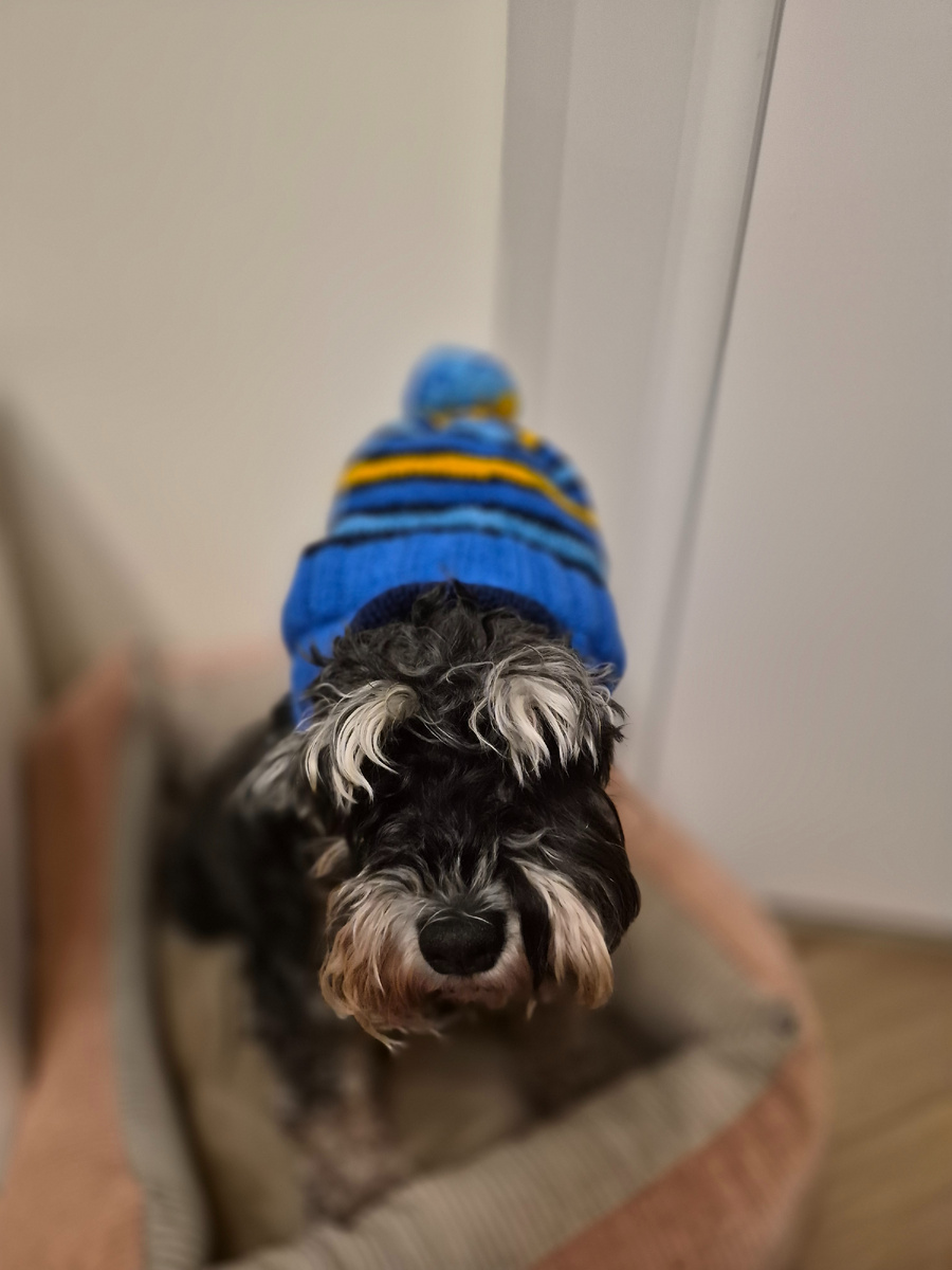 Отец года, конечно же, сразу же пошел примерять шапочку на Джеську 