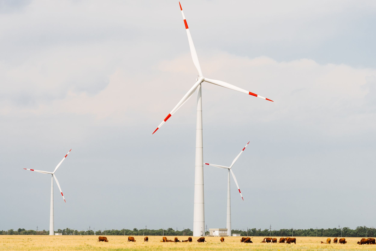 (источник: energybase.ru)