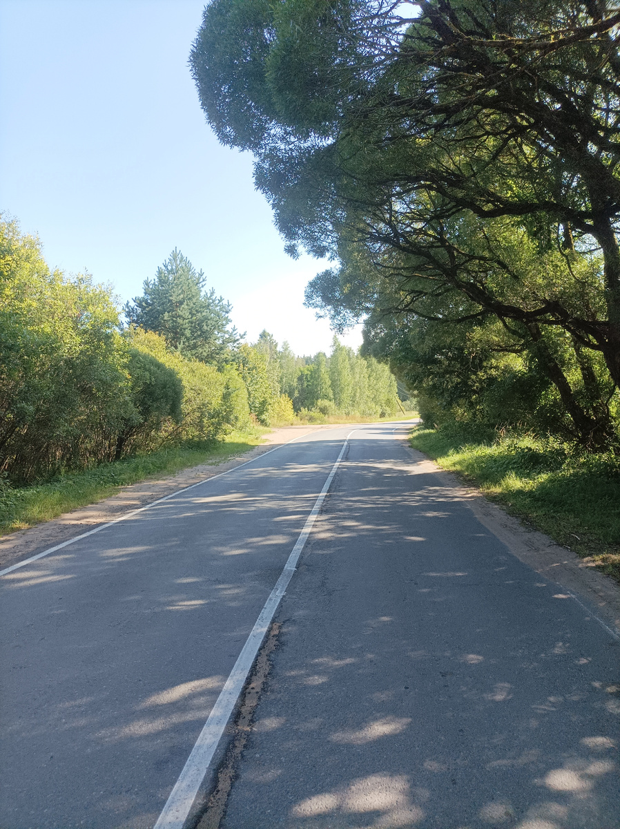 Шоссе в районе посёлка Шапки.