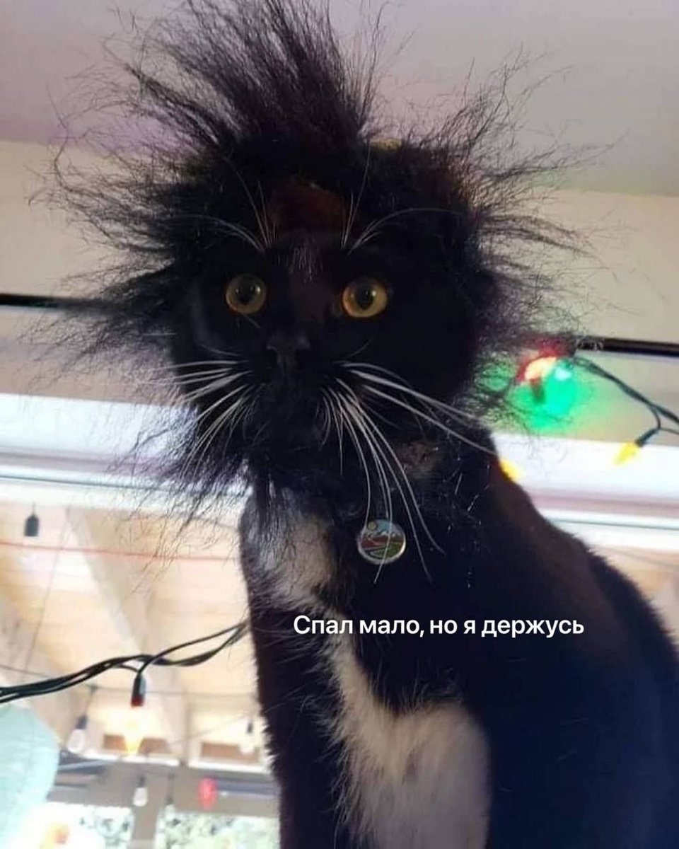 Картинка из интернета 😁