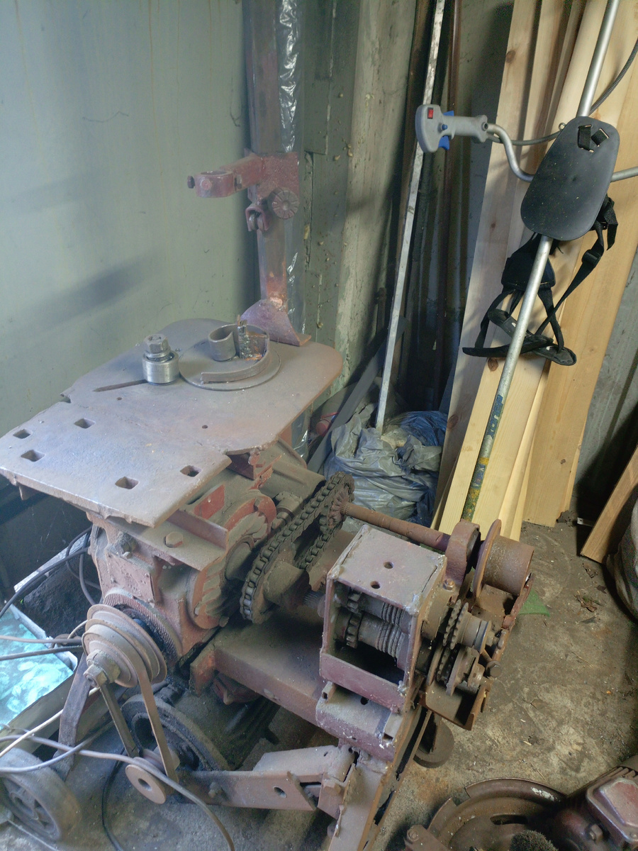 #Любезно прикладываю фото любимого динозавра 🦕 #