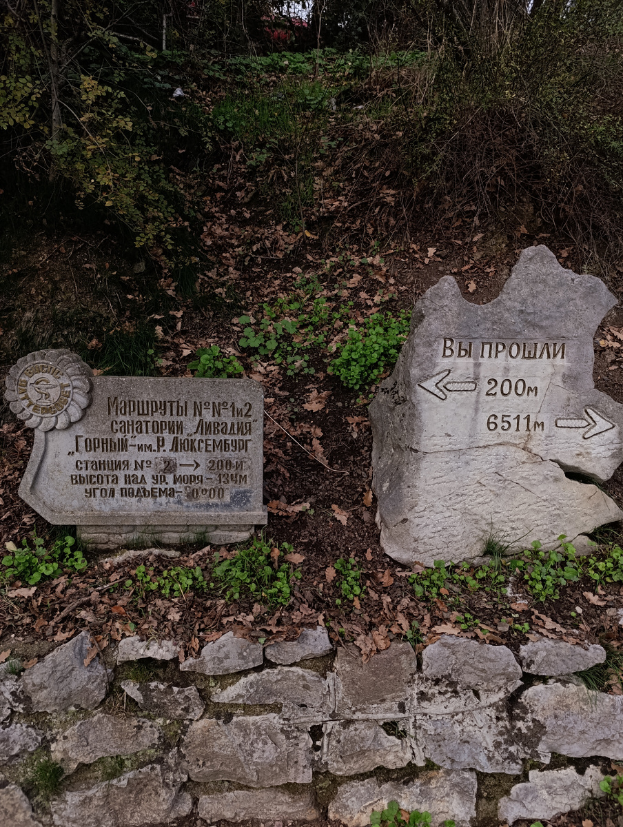 Двести метров от начала тропы в Ливадийском парке