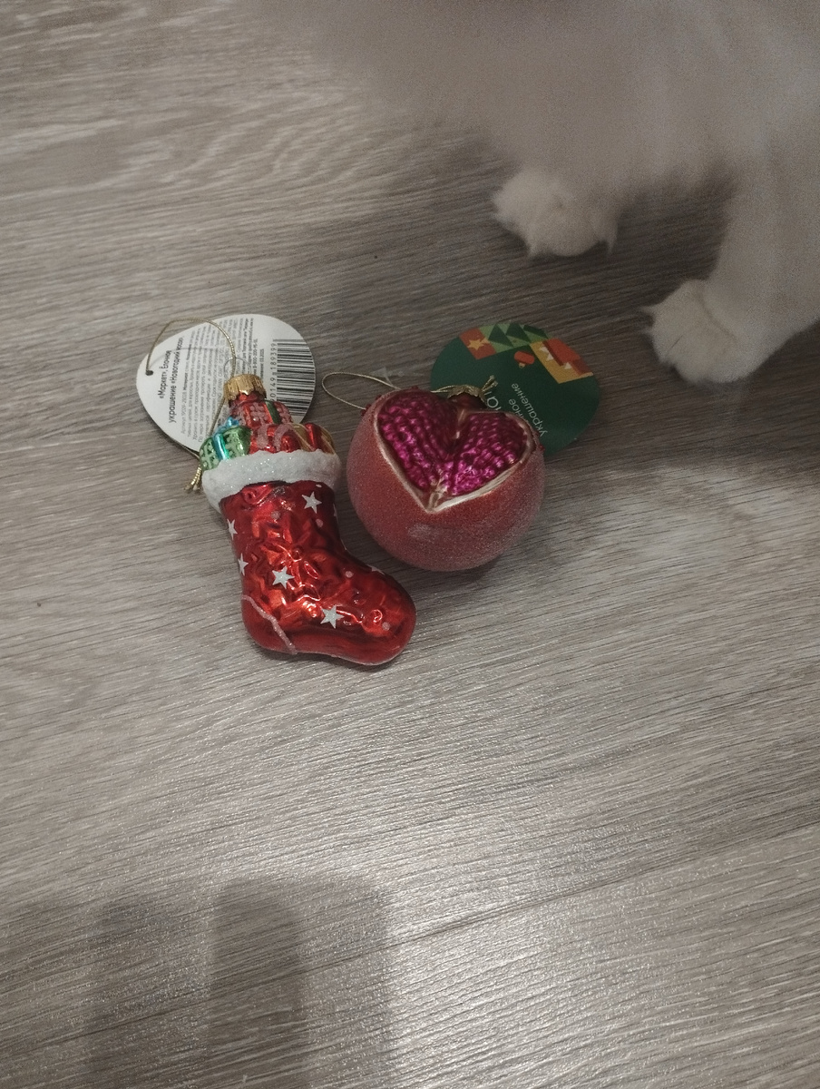 Лапки котов тут как тут