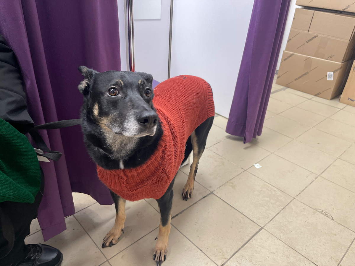 А это я как раз в ВБ (также вы его сокращаете, верно? 😅) жду свой заказик 😊