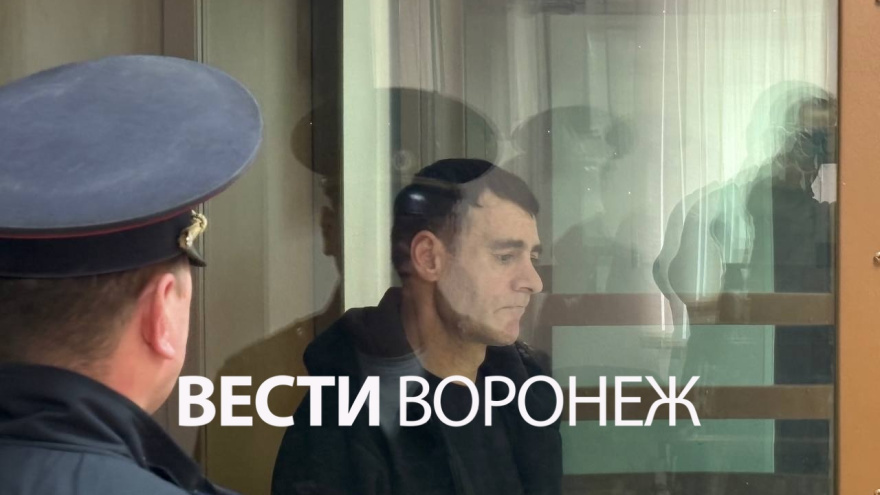 Фото: Вести Воронеж