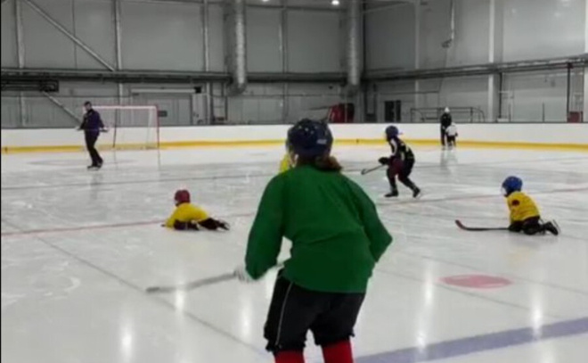    © Всеволожский муниципальный район ЛО